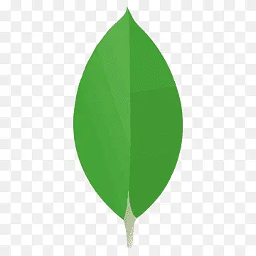 MongoDB