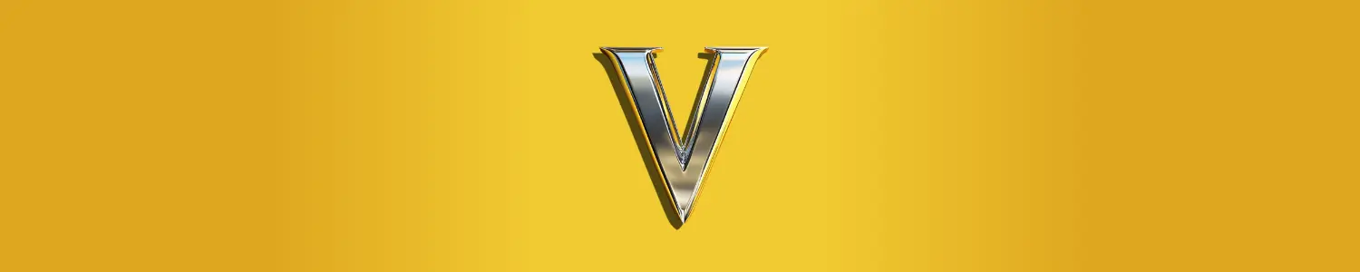 Voizy Cover